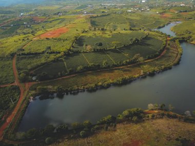 Bao Loc şehrindeki Tam Chau çay çiftliğinin havadan görünüşü, Lam Dong eyaleti, Vietnam. Seyahat ve manzara konsepti.