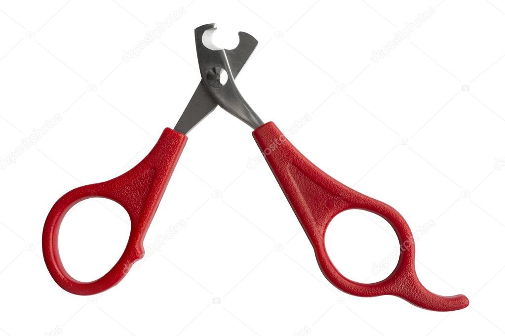 Scissors for claws for pets (dogs, cats, rabbits) isolated on wh