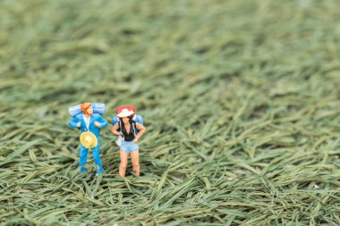 Çimenlerin üzerinde sırt çantası ile seyahat etmek