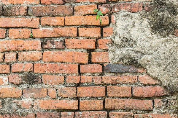 Laranja velho tijolo na parede textura fundo — Fotografia de Stock