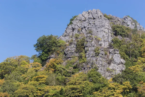 Montañas piedra caliza y árboles paisaje —  Fotos de Stock