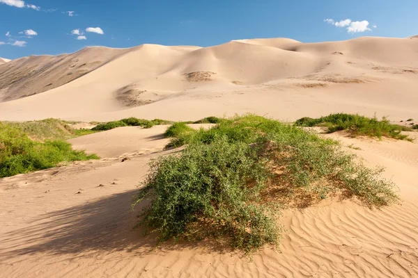 Dunes Khongoryn Els in Gobi Desert, Mongolia — Stock Photo, Image