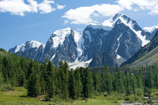 Mechta, Skazka a Krasavitsa — Stock fotografie