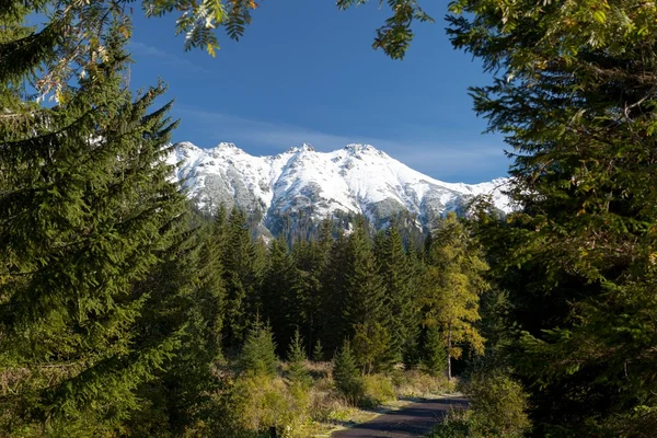 Camino a las montañas nevadas, Cervene vrchy, Cárpatos occidentales, Eslovaquia — Foto de Stock