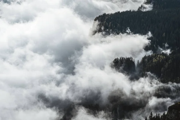 在罗马尼亚Ceahlau Massif 云彩覆盖了高山和森林 — 图库照片