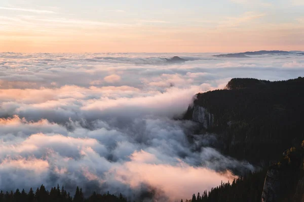 Impresionante Vista Superior Con Niebla Sobre Bosques Montañas Amanecer Paisaje — Foto de Stock