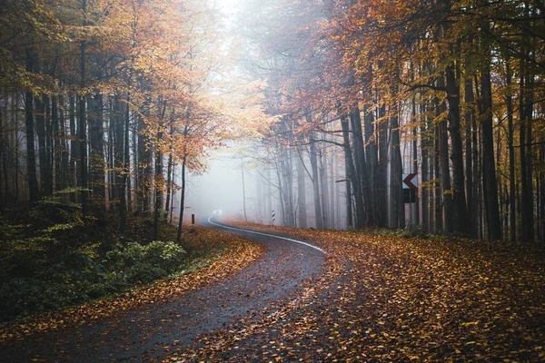 Winding Road Curves Autumn Trees Foggy Forest View Distant Car — Stock Photo, Image