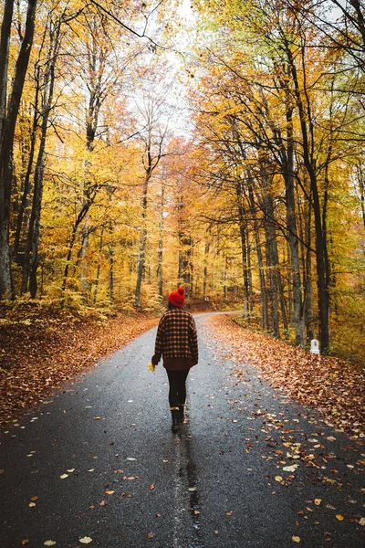 Back View Young Woman Standing Road Watching Nature Autumn Season — Stock Photo, Image