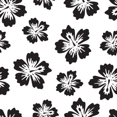 Siyah ve beyaz arka plan ile tropikal çiçek