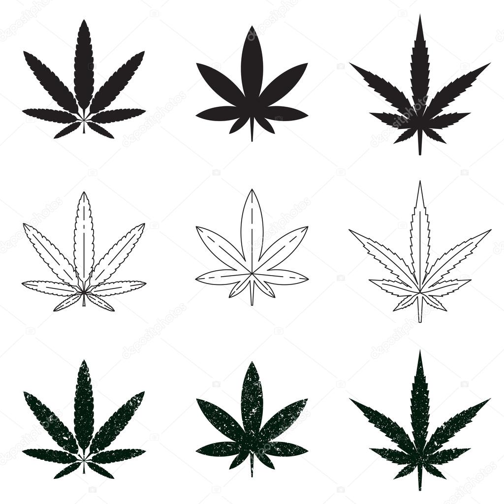 Vector illustration EPS 10 isolated on white background