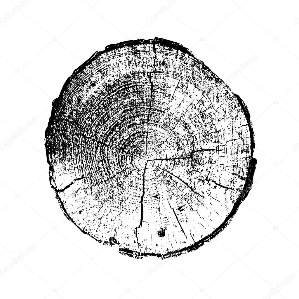 Tree ring, log, wood trunk. Black and white