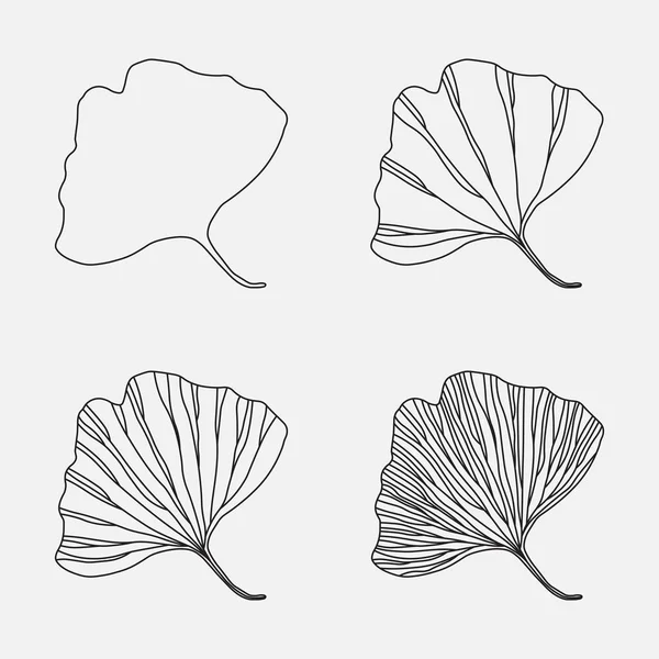 Hoja Gingko Biloba Conjunto Iconos Simples Diseño Línea Trazos Editables — Archivo Imágenes Vectoriales