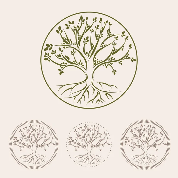 Arbre Avec Des Icônes Racines Cercle Élément Conception Illustration Vectorielle — Image vectorielle