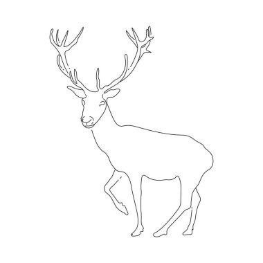 Geyik. Çizgi tasarımı, düzenlenebilir vuruşlar. Vektör illüstrasyonu beyaz arkaplanda izole edildi