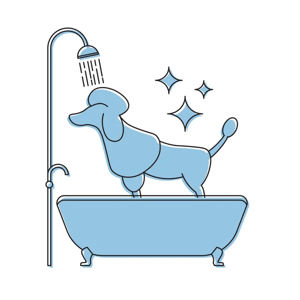 Chien Douche Icône Salon Beauté Illustration Vectorielle Caniche Isolée Sur — Image vectorielle