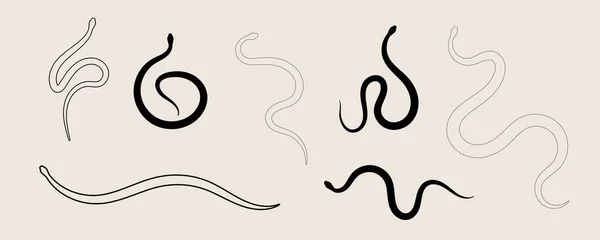 Silueta Serpiente Conjunto Diseño Línea Icono Reptil Ilustración Vectorial Eps — Archivo Imágenes Vectoriales