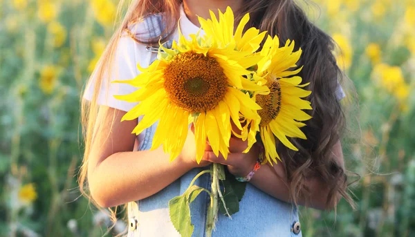Beautiful sunflower in hands on sunny nature background — Stock Photo, Image