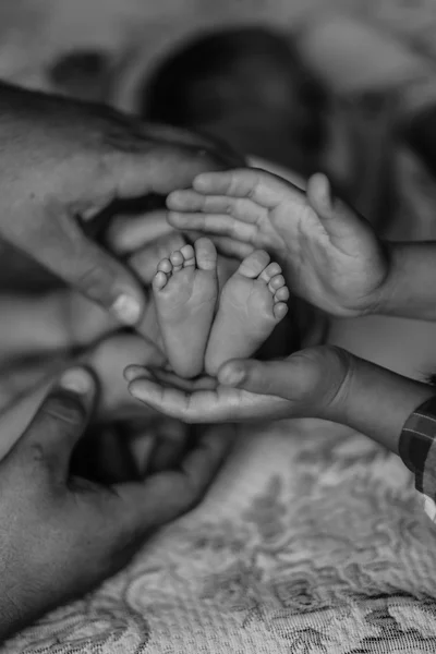 Счастливая семья с новорожденным ребенком Стоковая Картинка