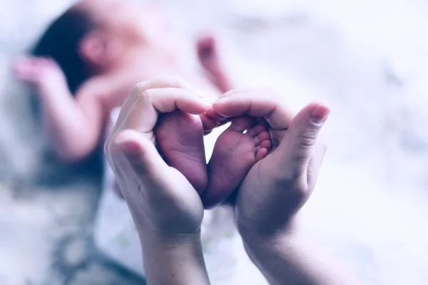 Güzel aile elinde Stok Fotoğraf