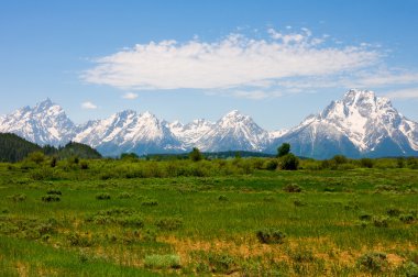 Grand Teton Ulusal Parkı