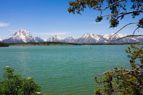 Jackson Lake — Stockfoto