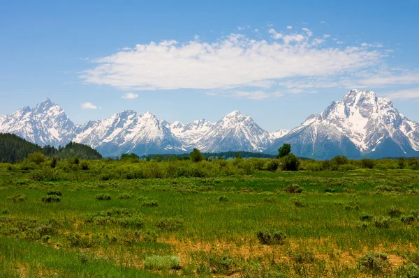 Grand Teton Nemzeti Park — Stock Fotó