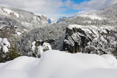 Yosemite Ulusal Parkı