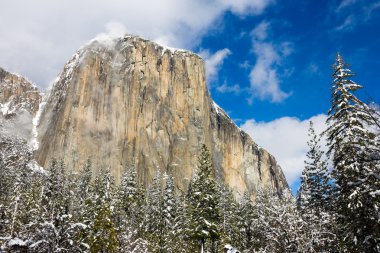 Yosemite Ulusal Parkı