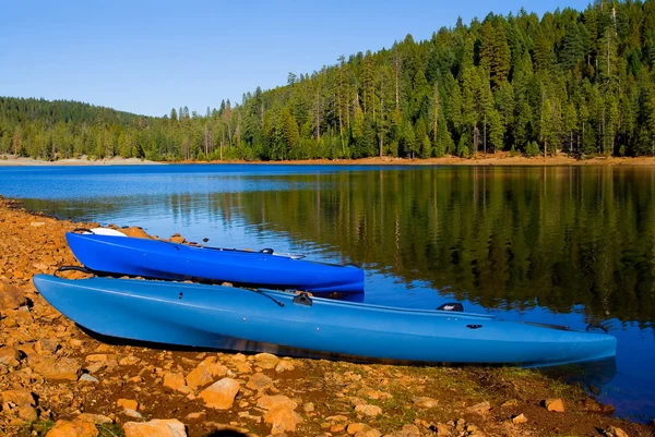 The lake — Stock Photo, Image