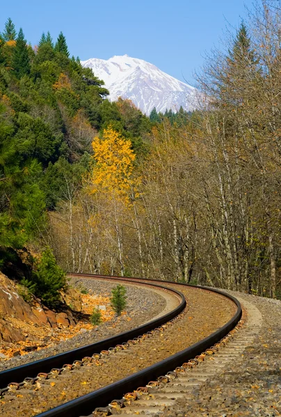 Rail tracks — Stock Photo, Image