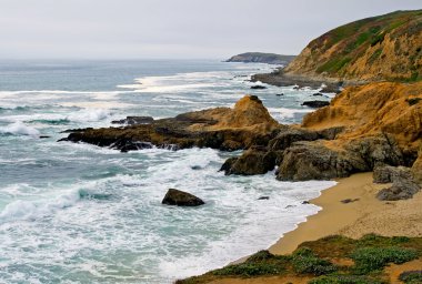 Sonoma Coast
