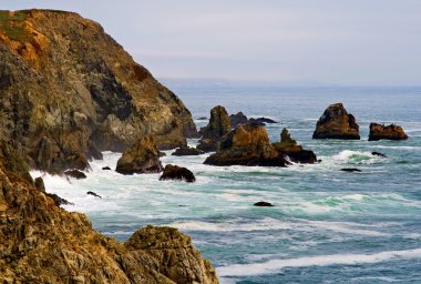Sonoma Coast