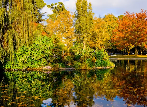 Herfst — Stockfoto