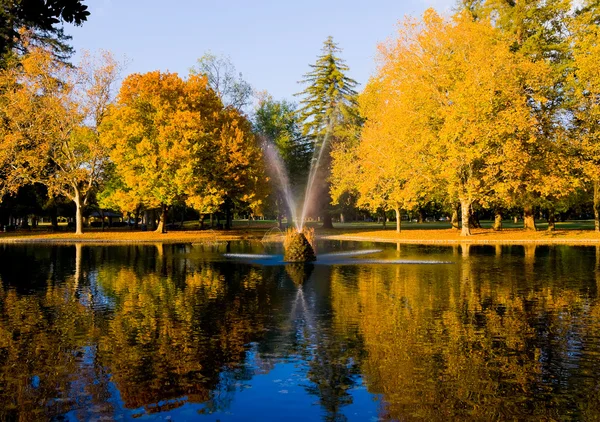 Herbst — Stockfoto