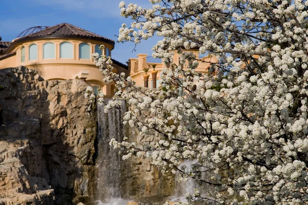 Blooming tree next to a mansion — Stock Photo, Image