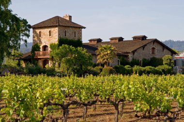Napa Valley gün batımında
