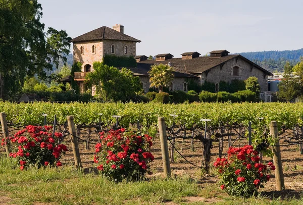 Winery in Napa Valley — Stock Image Winery in Napa Valley Stock Image
