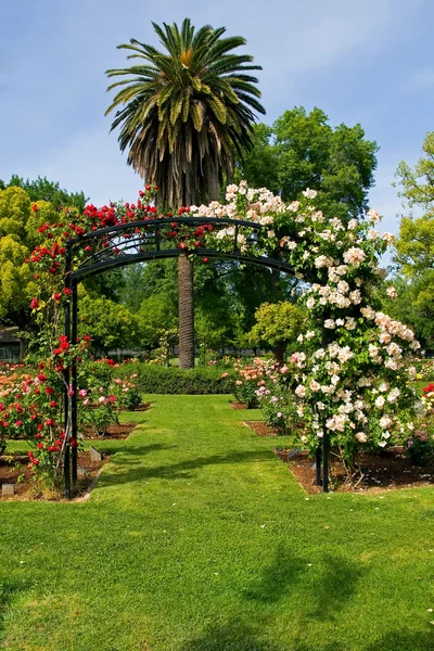Entrance to rose garden — Stock Photo, Image