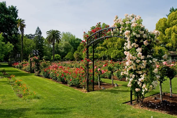 Entrada al jardín de rosas —  Fotos de Stock