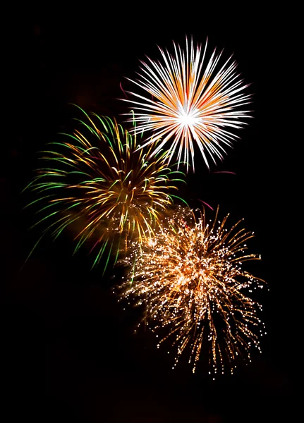 Colorful firework in night sky — Stock Photo, Image