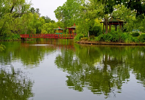 Mooie Japanse tuin — Stockfoto