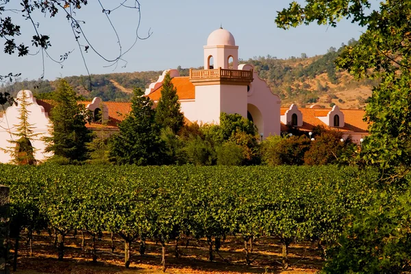 Weinberg im Napa-Tal bei Sonnenuntergang — Stockfoto