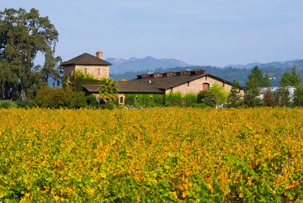 Napa Valley wijngaarden in de herfst — Stockfoto