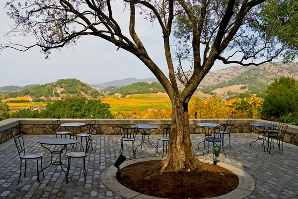 Tables and chairs outside the winery — Stock Photo, Image