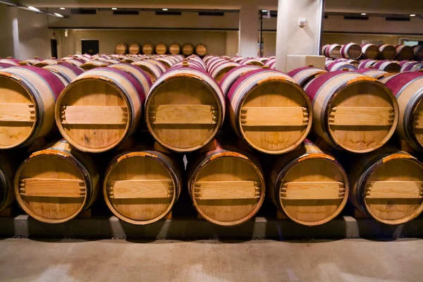 Wine barrels in winery cellar — Stock Photo, Image