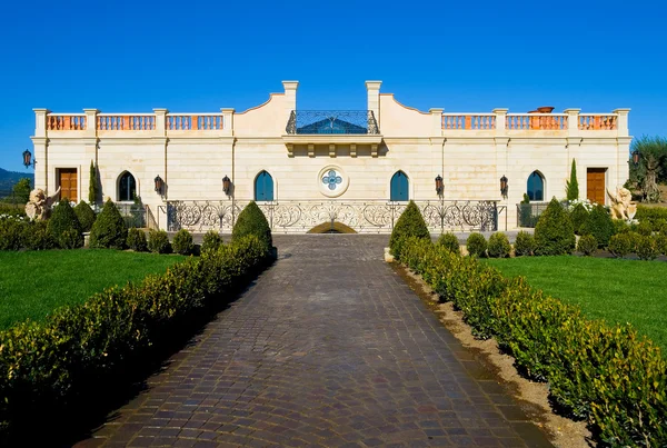 Viñedo del Valle de Napa — Foto de Stock