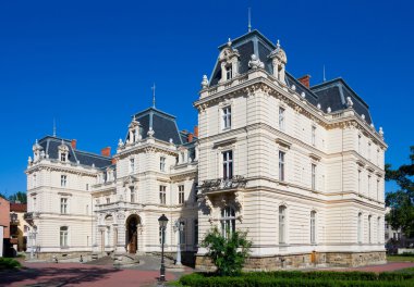 Potocki Palace, Lviv Sanat Galerisi