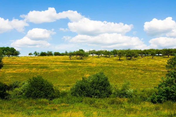 Grassland and cloudy sky — Stock Photo, Image