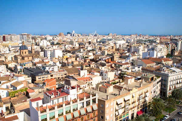 Valencia Catedral Üstten Görünüm