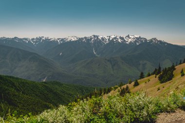 Yaz aylarında Olimpiyat Dağları, Olimpiyat Ulusal Parkı 'ndaki Kasırga Tepesi patikasından izlendi..